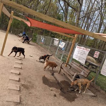 K-9 Gunner Memorial Dog Park photo 1